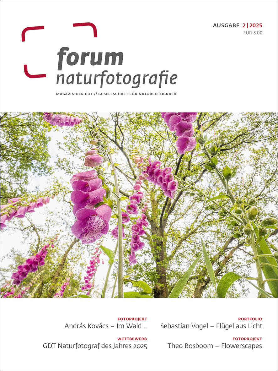 forum naturfotografie 2/2025